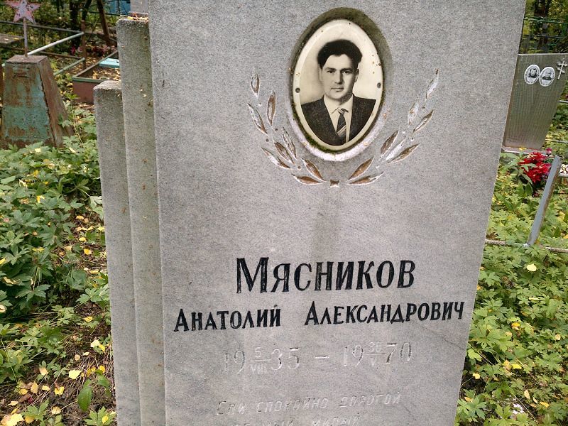 Мясников