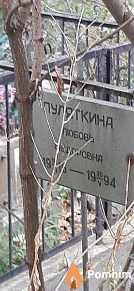 Пулаткина Любовь Федоровна