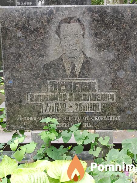 Особик Владимир Николаевич
