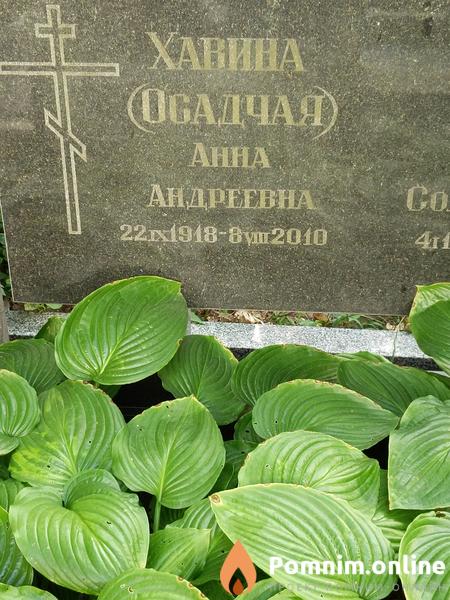 Хавинаосадчая Анна Андреевна