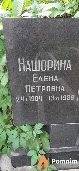 Нашорина Елена Петровна