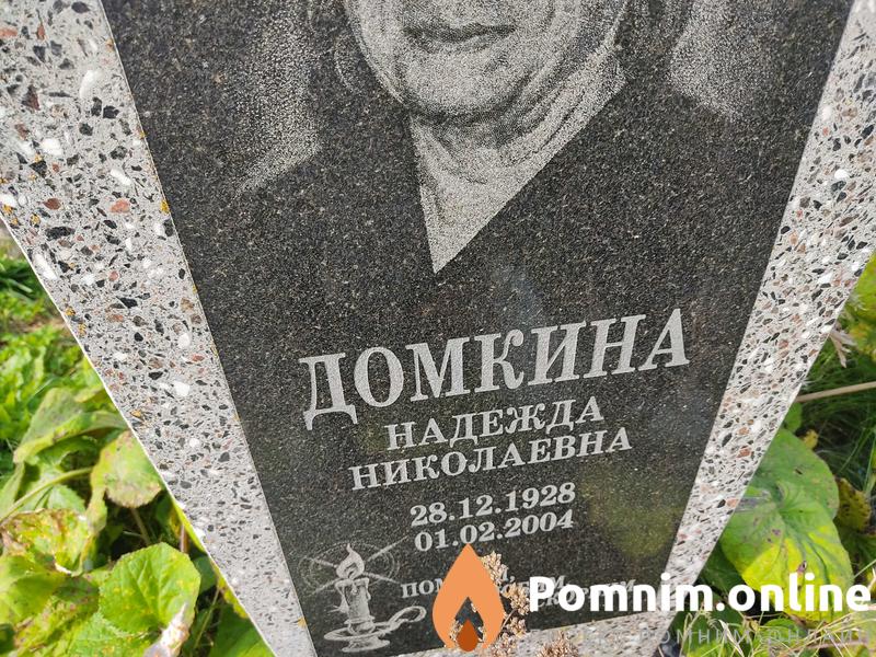 Домкина Надежда Николаевна