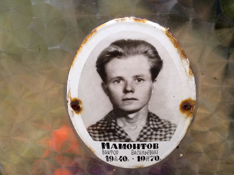 Мамонтов