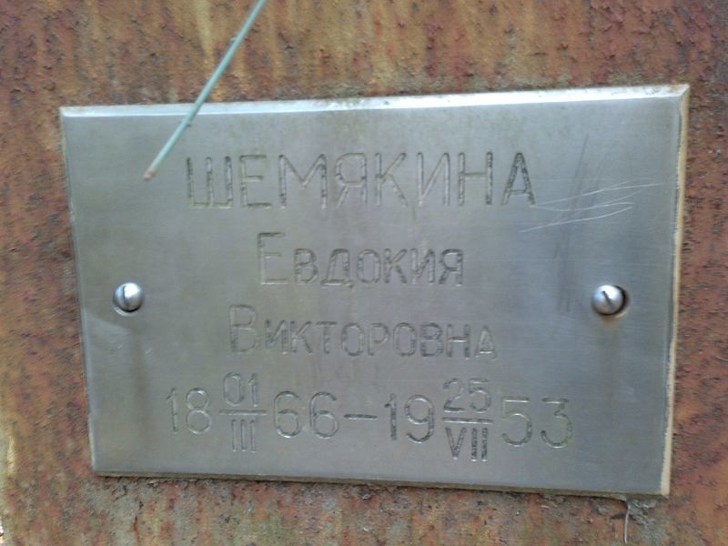 Шемякина