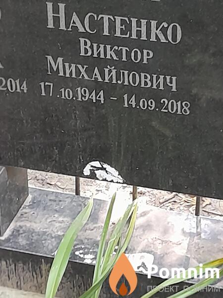 Настенко Виктор Михайлович