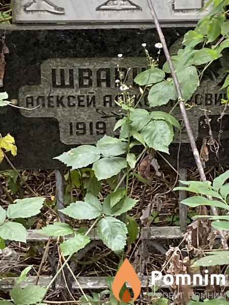 Шварц Алексей Александрович