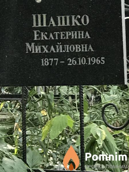 Шашко Екатерина Михайловна