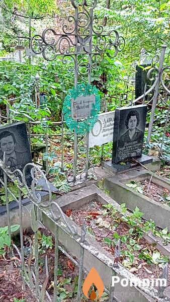 Давидюк Александр Владимирович