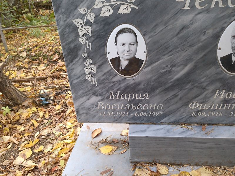 Чеканова