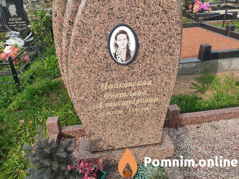 Карапетян Светлана Андреевна