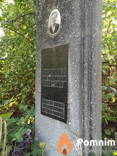 Сорокина Елена Михайловна