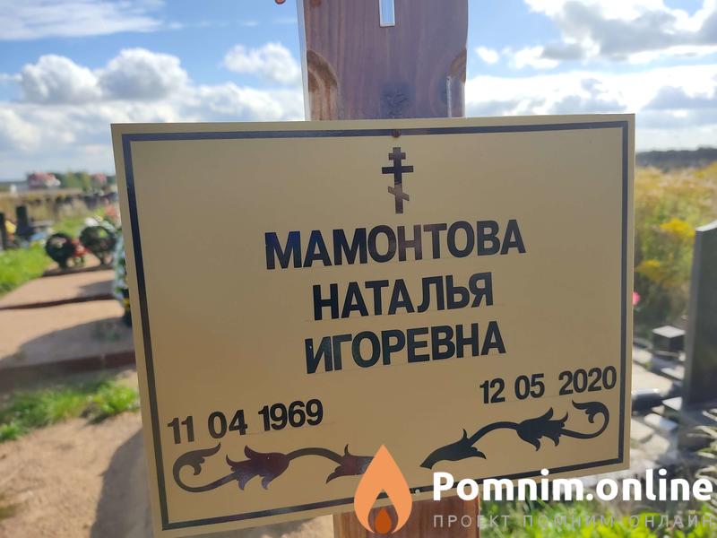 Мамонтова Наталья Игоревна