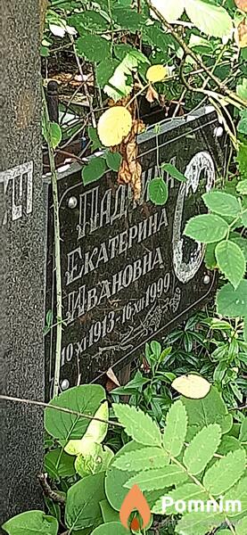Падчина Екатерина Ивановна
