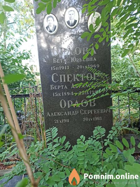Спектор Берта Абрамовна