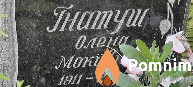 Гнатуш Олена Мокіївна
