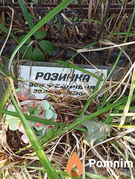 Розынка Зоя Федоровна