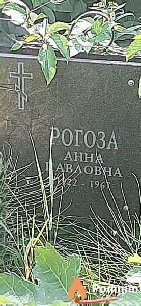 Рогоза Анна Павловна