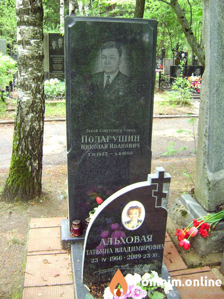 Полагушин Николай Иванович