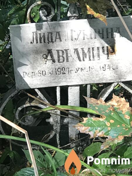 Аврамич Лида Лукична