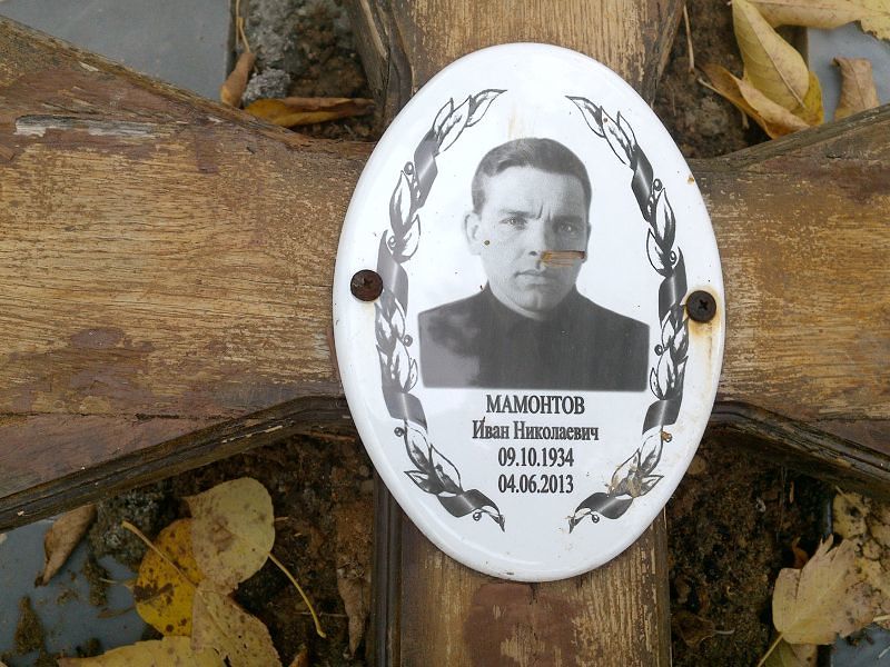 Мамонтов