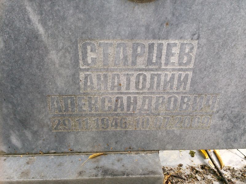 Старцев