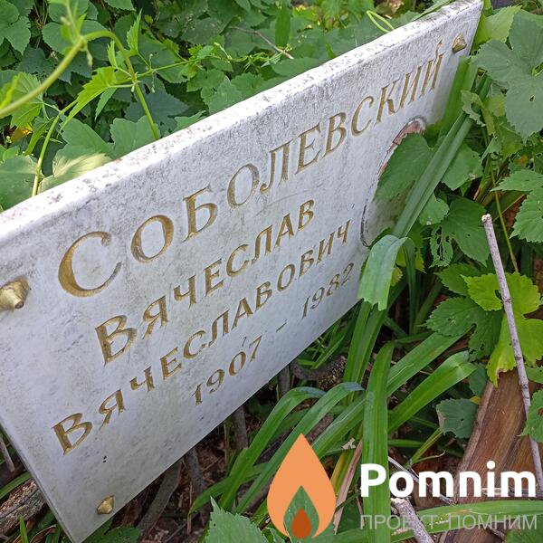 Соболевсколий Вячеслав Вячеславович