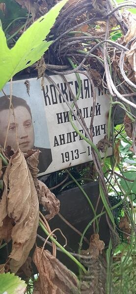 Kожемякин Николай