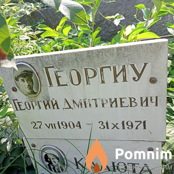 Георгиу Георгий Дмитриевич