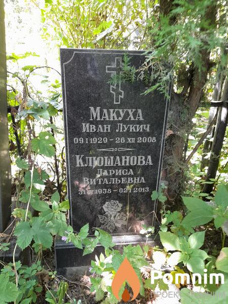 Клюшанова Лариса Витальевна