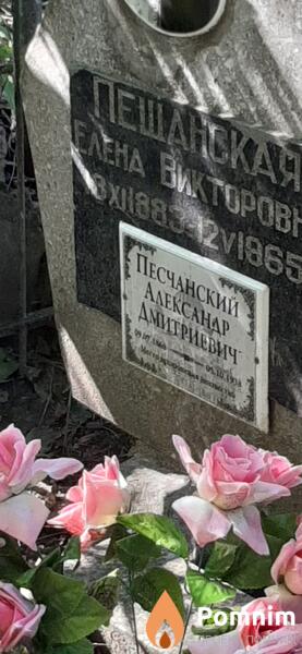 Песчанский Александр Дмитриевич