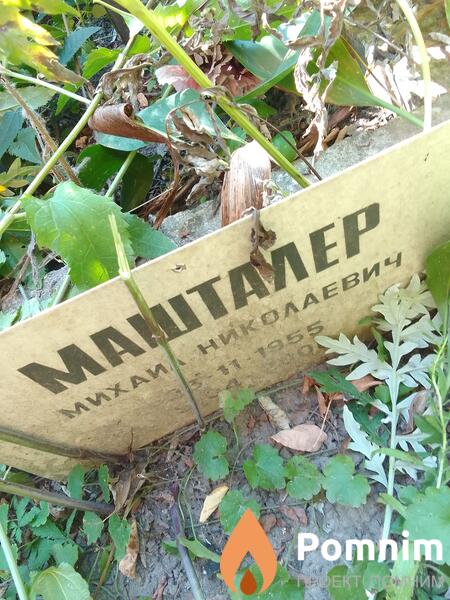 Маштамер Михаил Николаевич