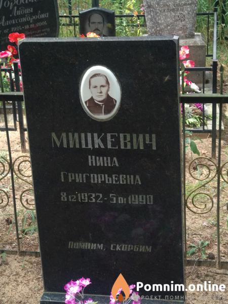 Мицкевич Владимир Иванович