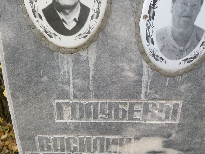 Голубев