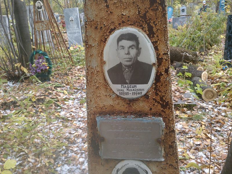 Надеин