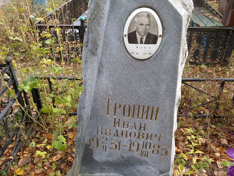 Тропин