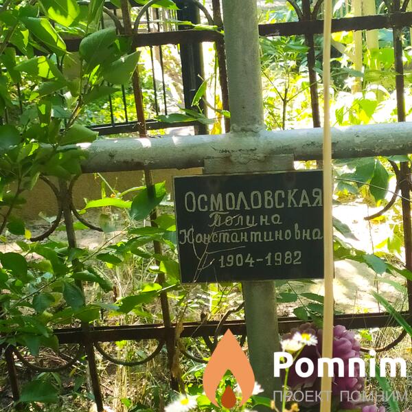 Осмоловская Полина Константиновна