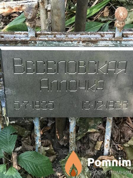 Веселовская Алла