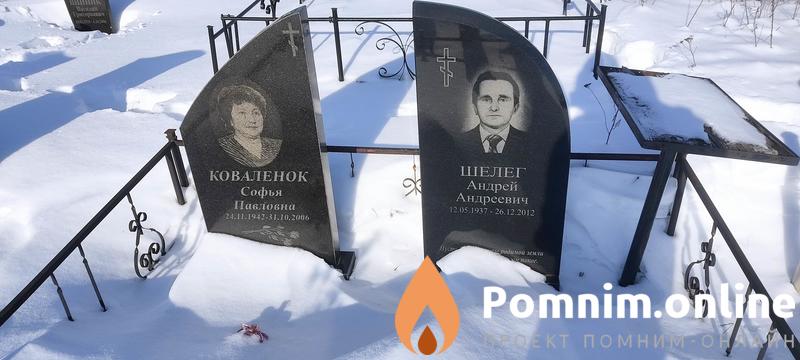 Шелег Андрей Андреевич