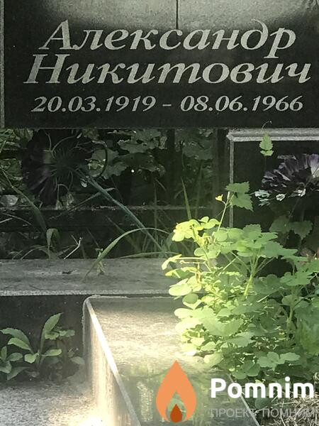 Никитович Никитович