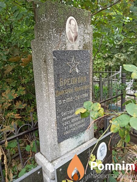 Бредихин Дмитрий Иванович
