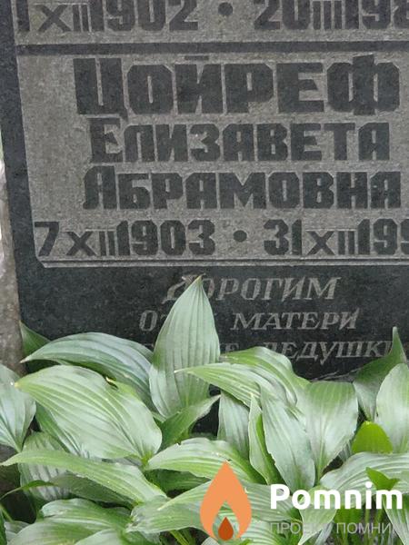 Цойреф Елизавета Абрамовна