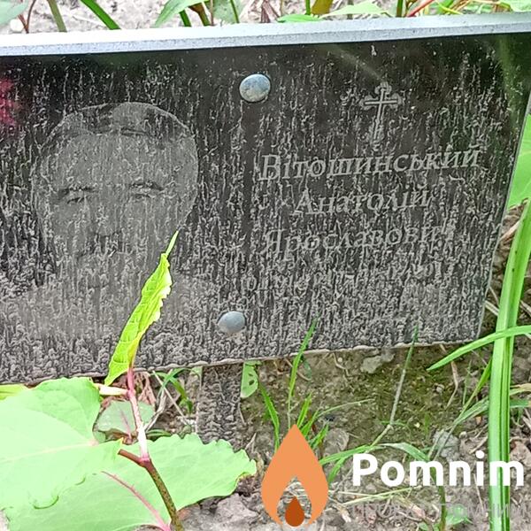 Витошинский Анатолий Ярославович