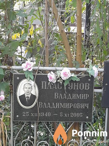 Пластунов Владимир Владимирович
