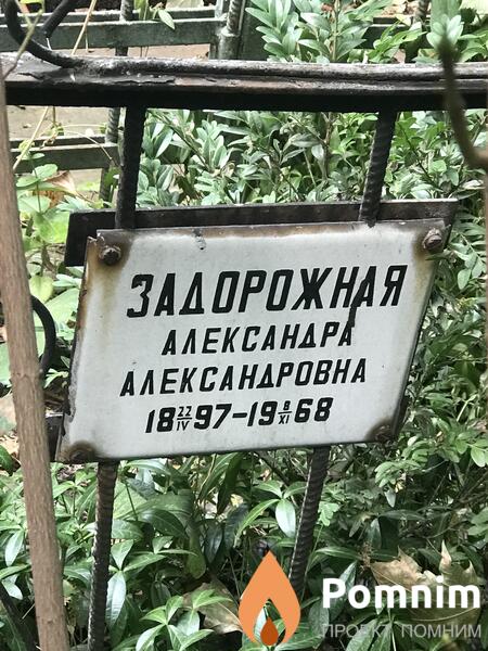 Задорожная Александра Александровна