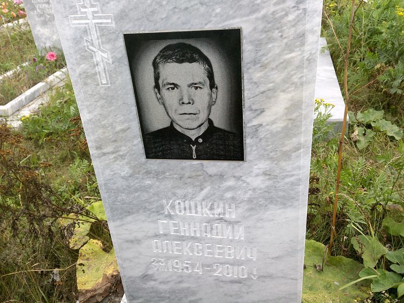 Кошкин