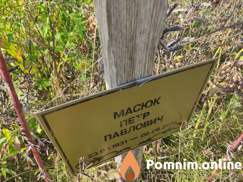Масюк Анна Петровна