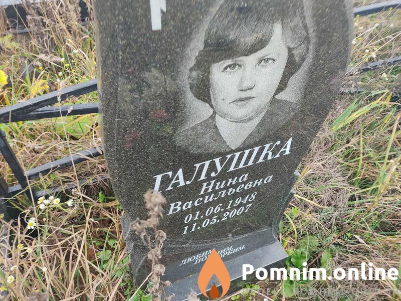 Галушка Владимир Петрович