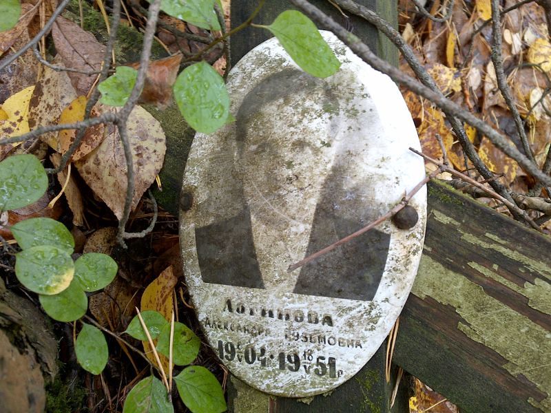 Логинова Александра Кузьмовна