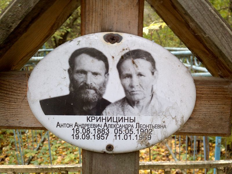 Криницин