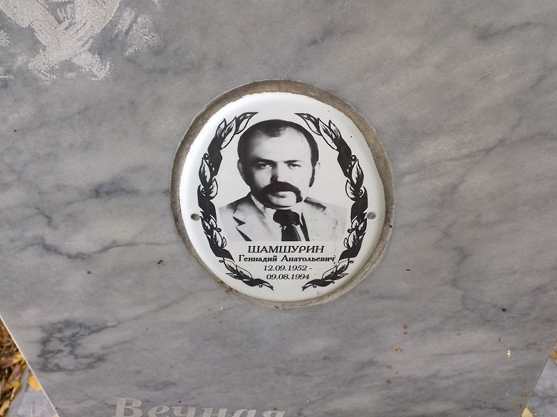 Шамшурин